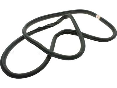 2017 Ford F-250 Super Duty Door Seal - HL3Z-16253A11-A