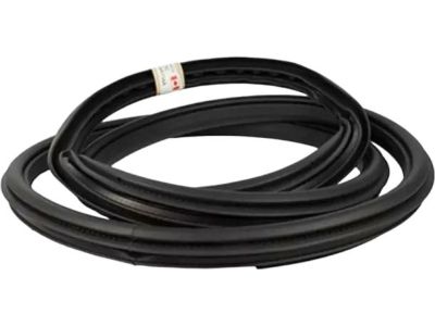 2017 Ford F-250 Super Duty Door Seal - HL3Z-16253A11-A