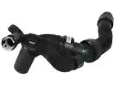 2016 Ford Explorer Radiator Hose - DB5Z-8286-H