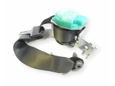 Ford CL3Z-15611B64-BC Seat Belt Assembly