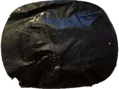 Ford Edge Fuel Door - FT4Z-58405A26-A