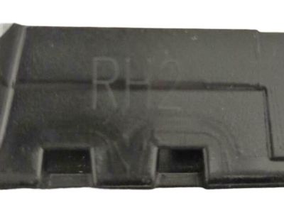 Lincoln MKZ Door Moldings - DP5Z-54255A34-AA