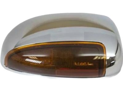 Ford F-250 Super Duty Mirror Cover - 6C3Z-17D742-AA