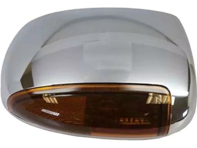 Ford F-250 Super Duty Mirror Cover - 6C3Z-17D742-AA