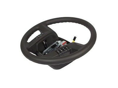 Ford BL3Z-3600-CC Steering Wheel Assembly