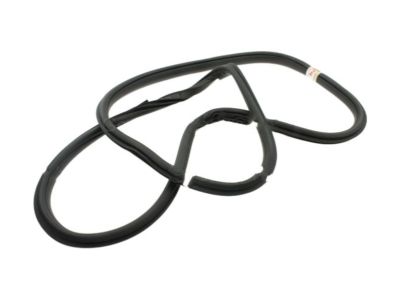 Ford F-550 Super Duty Weather Strip - FL3Z-16253A11-A