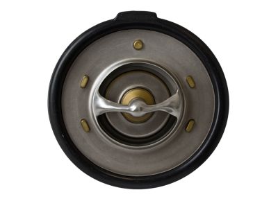 Ford F-150 Thermostat - F68Z-8575-BA
