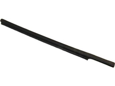 BB5Z-7825596-A Ford Door Glass Channel Weatherstrip Product Photo 5 of 5