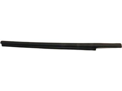 BB5Z-7825596-A Ford Door Glass Channel Weatherstrip Product Photo 3 of 5