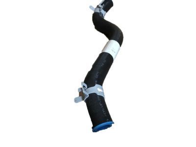 2002 Mercury Grand Marquis Power Steering Hose - F8AZ-3691-AA