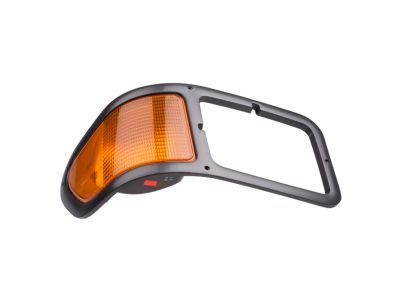 F6HZ-13200-AAE Ford Parking Light Product Photo 6 of 7