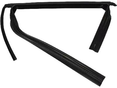 Ford Focus Window Run - BM5Z-5825767-A