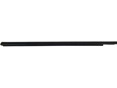 1L2Z-7821452-AAA Ford Door Glass Weatherstrip Product Photo 2 of 6