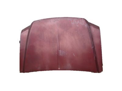 Ford 4C3Z-16612-AA Hood Assembly