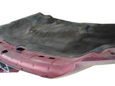 Ford 4C3Z-16612-AA Hood Assembly