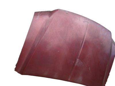 Ford 4C3Z-16612-AA Hood Assembly