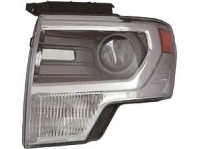 2013 Ford F-150 Headlight - DL3Z-13008-ACCP