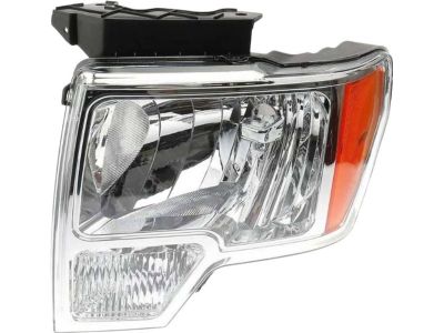 2013 Ford F-150 Headlight - DL3Z-13008-ACCP