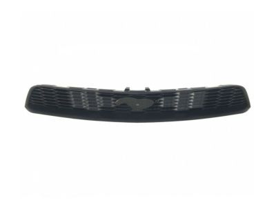 Ford AR3Z-8200-AE Grille - Radiator