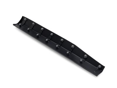 Ford Mustang Mach-E Door Moldings - LJ8Z-5820879-AA