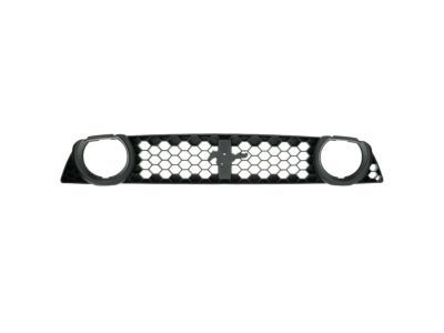 Ford DR3Z-8200-CB Grille - Radiator