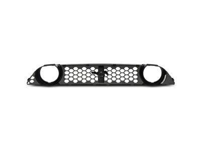 Ford DR3Z-8200-CB Grille - Radiator