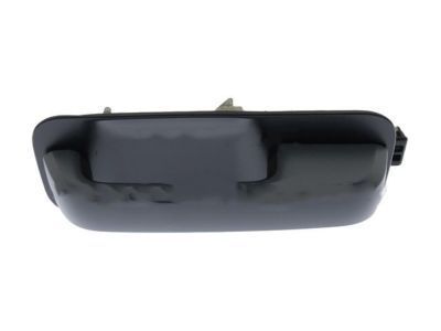 Ford FL3Z-1522404-CFPTM HANDLE ASY - DOOR - OUTER