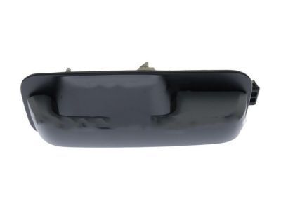 2019 Ford F-150 Door Handle - FL3Z-1522404-CFPTM