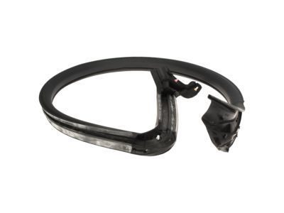 Ford AR3Z-6320709-A Weatherstrip Assy - Door Opening