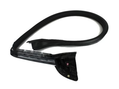 Ford AR3Z-6320709-A Weatherstrip Assy - Door Opening