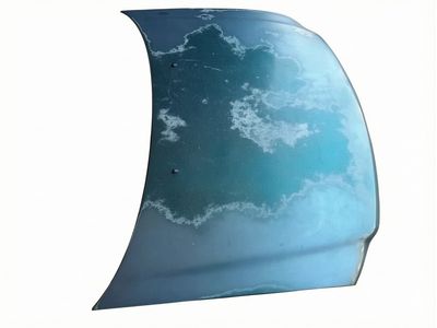 Ford F-150 Hood - F65Z-16612-AL