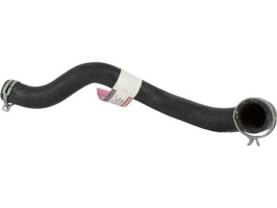 Ford Fiesta Radiator Hose - 8V2Z-8260-B