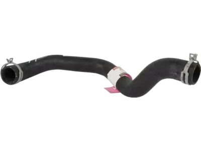 Ford Fiesta Radiator Hose - 8V2Z-8260-B