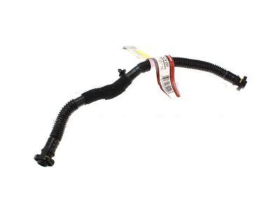 Ford PCV Valve Hose - BM5Z-6A664-H