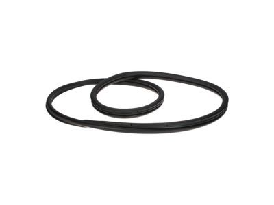 Ford BL8Z-7842084-C Weatherstrip - Back Window