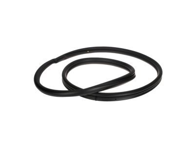 Ford BL8Z-7842084-C Weatherstrip - Back Window