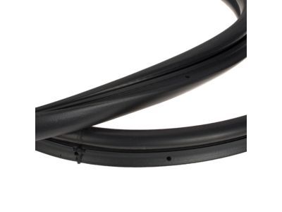 Ford BL8Z-7842084-C Weatherstrip - Back Window