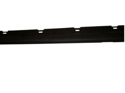 Ford 3W1Z-5410176-AAA Moulding