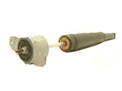 Ford CV6Z-18125-M Shock Absorber Assembly