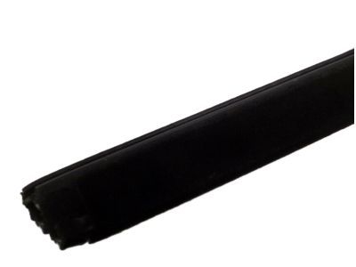 2004 Ford Expedition Weather Strip - 2L1Z-7821456-AA