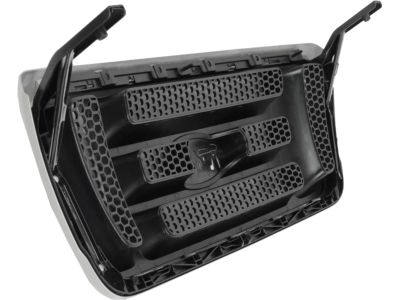 2005 Ford F-150 Grille - 4L3Z-8200-BACP