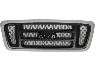 2005 Ford F-150 Grille - 4L3Z-8200-BACP