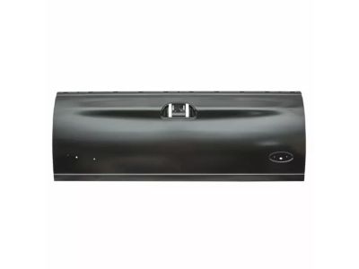 F65Z-9940700-AX Ford Tailgate Assembly Product Photo 1 of 2
