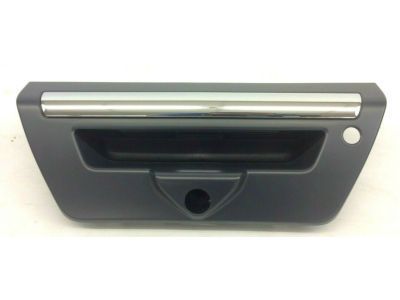 2019 Ford F-150 Tailgate Handle - JL3Z-9943400-MAPTM