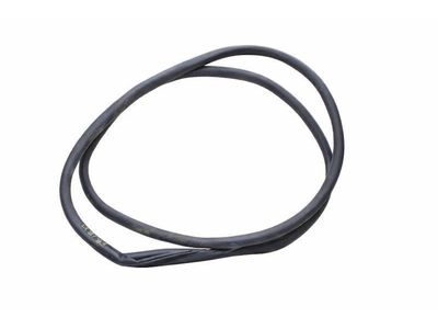 Ford Bronco Sport Weather Strip - M1PZ-7820708-B