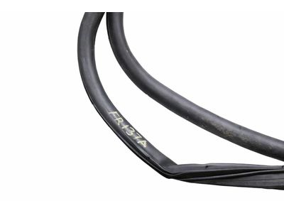 Ford Bronco Sport Weather Strip - M1PZ-7820708-B