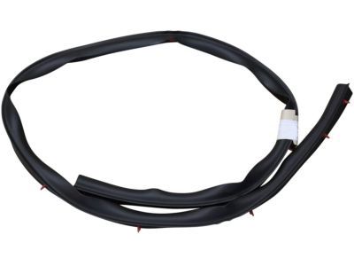 2010 Ford Explorer Weather Strip - 8L2Z-78253A44-A