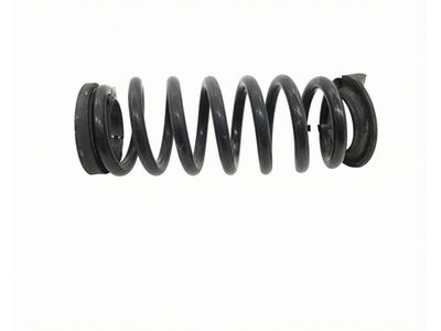 Lincoln Nautilus Coil Springs - K2GZ-5560-Z