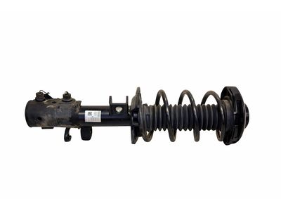 2023 Ford Escape Coil Springs - LX6Z-5310-BB