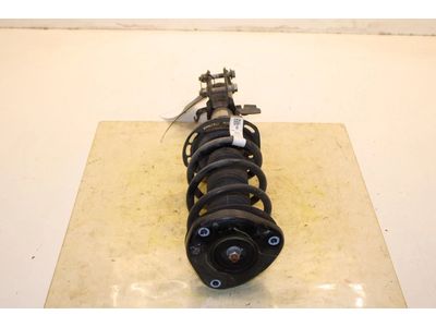 2023 Ford Escape Coil Springs - LX6Z-5310-BB